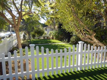 Artificial Grass Photos: Artificial Pet Grass Mountain Center California Back and Front Yard